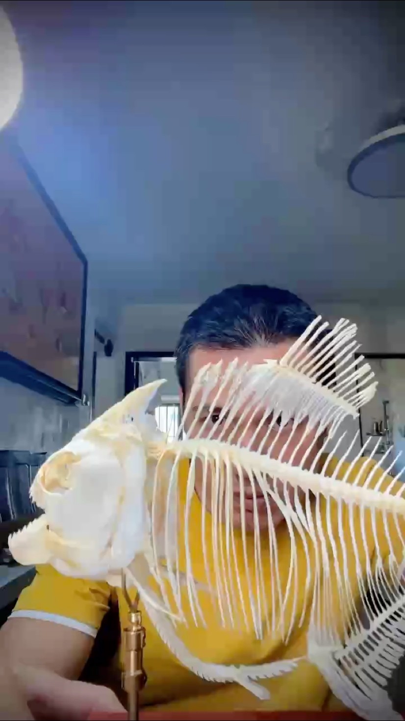想要畫出感覺，了解骨骼必不可少！