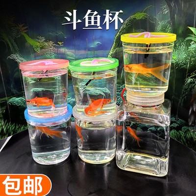 邯鄲市復興區藝景閣水族造景店（邯鄲市復興區藝景閣水族造景店地址）
