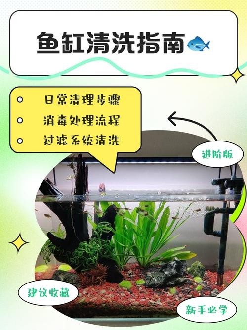 龍魚魚缸多久清洗一次好