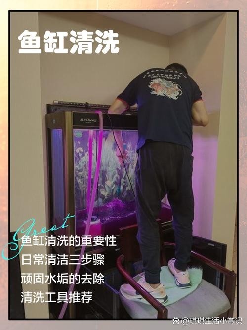 龍魚魚缸多久清洗一次好