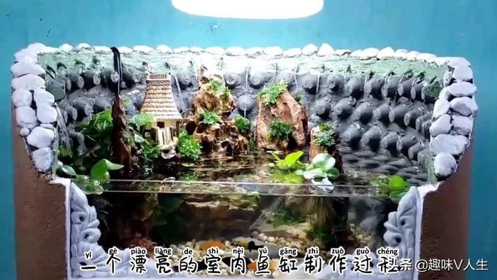 魚在魚缸底部不動是不是快生了（魚在魚缸底部不動可能是由于多種原因引起的，如何處理）