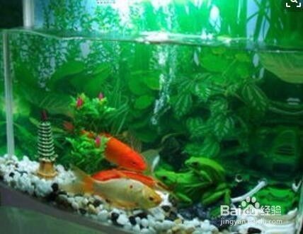 雅居水族館（雅居水灣官網(wǎng)）
