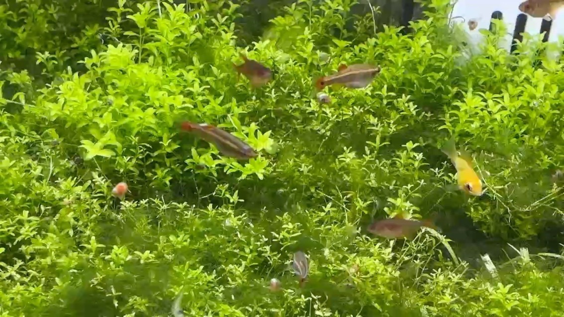 有趣