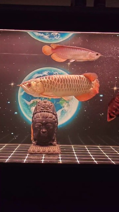 2025.6.24每日記錄