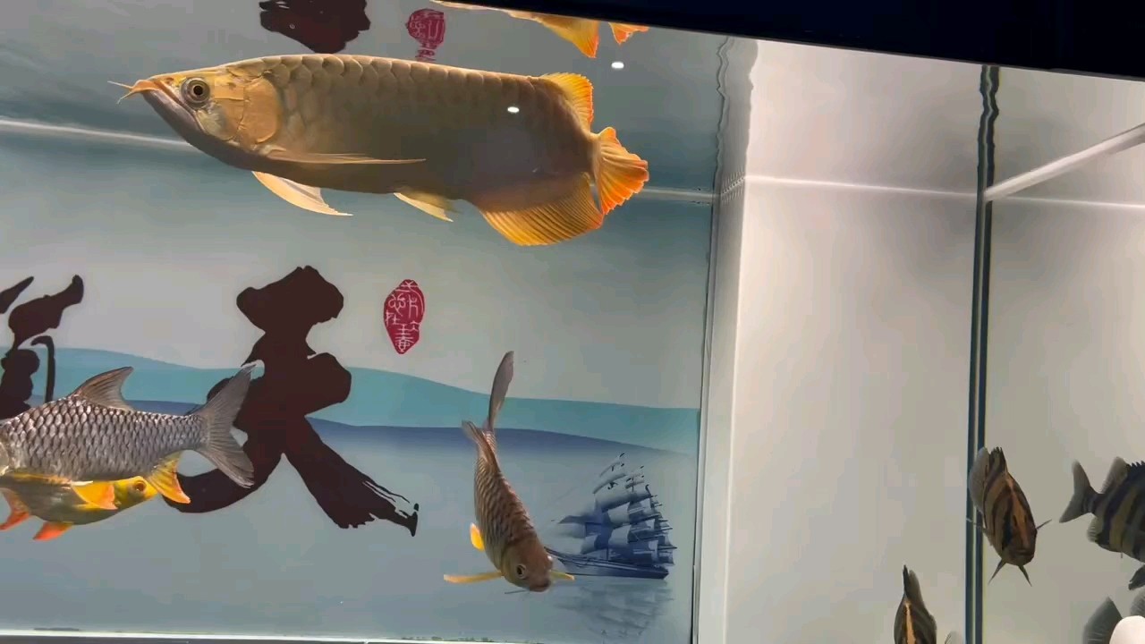 如何