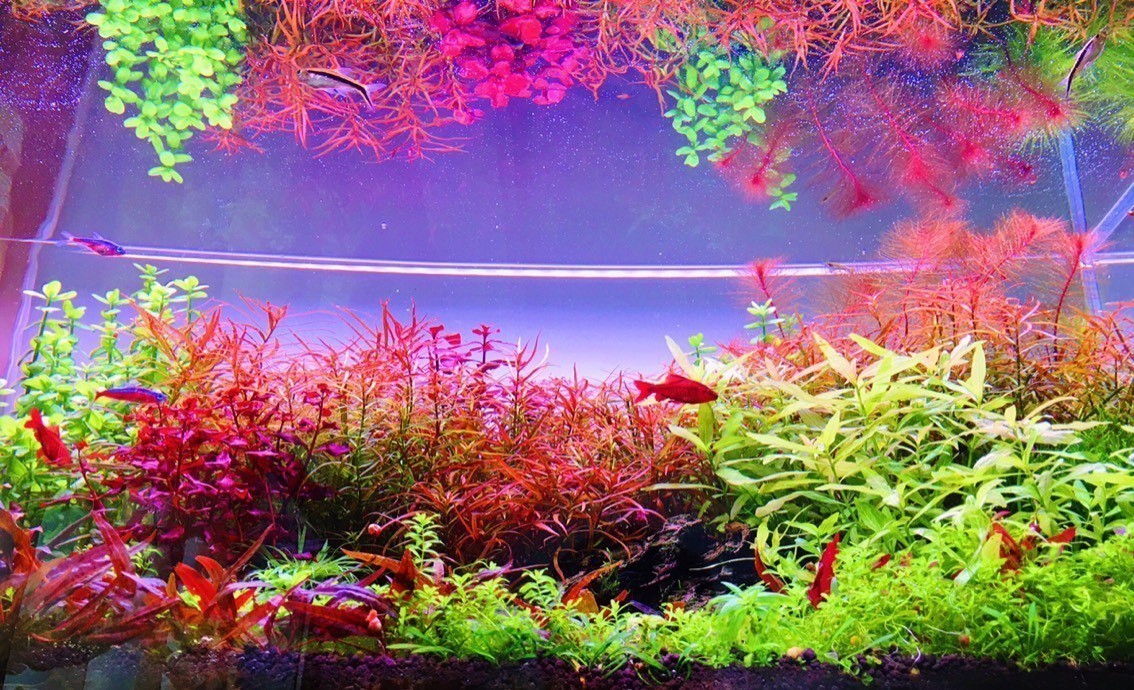 變遷