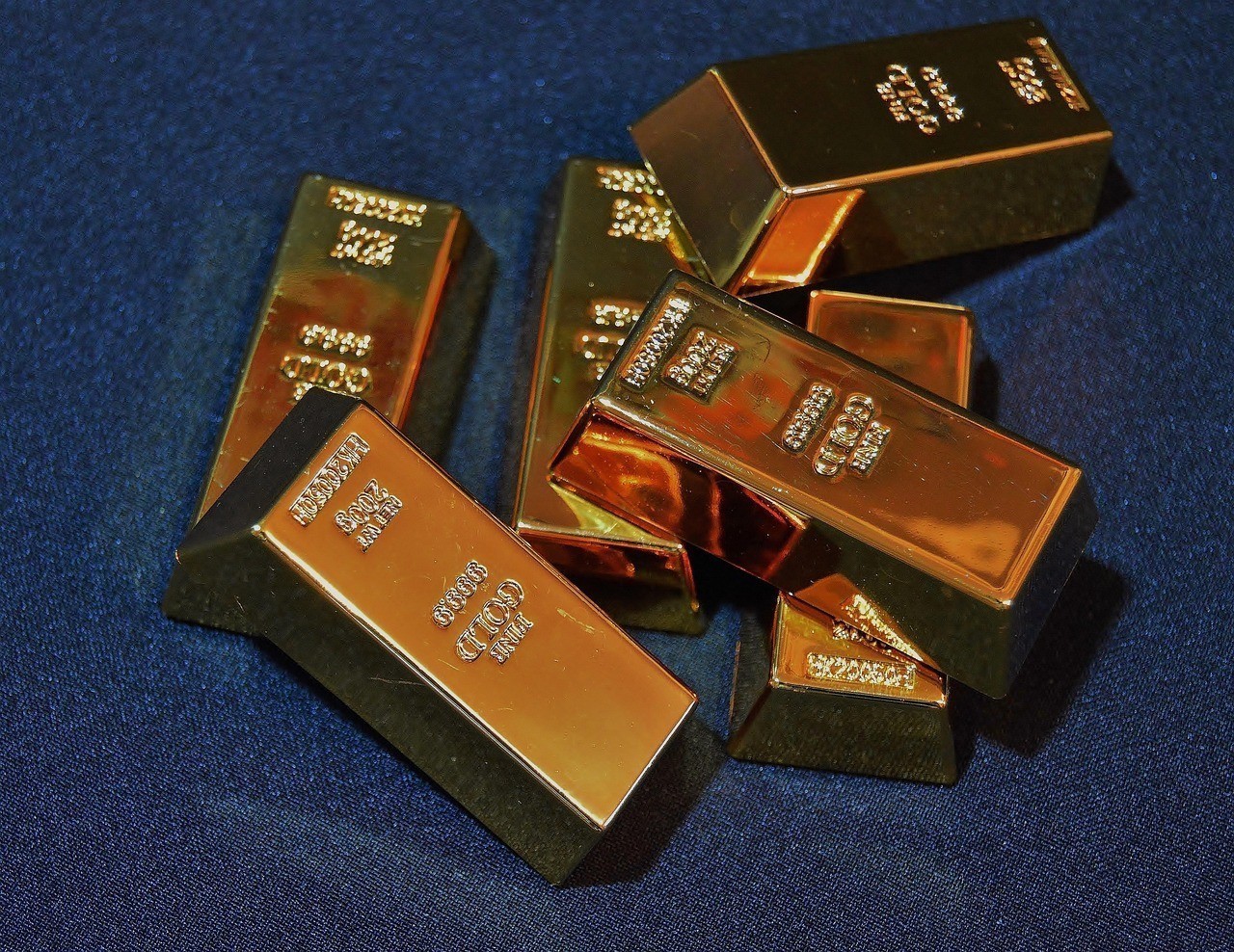 新民市大鵬水族器材店， 新民市大鵬水族器材店：提供優質水族器材，打造完美水族世界