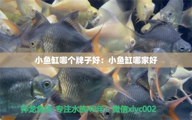 烏蘭浩特市久躍水族和平館（烏蘭浩特水族館電話）