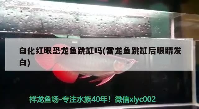 太康縣化妝城