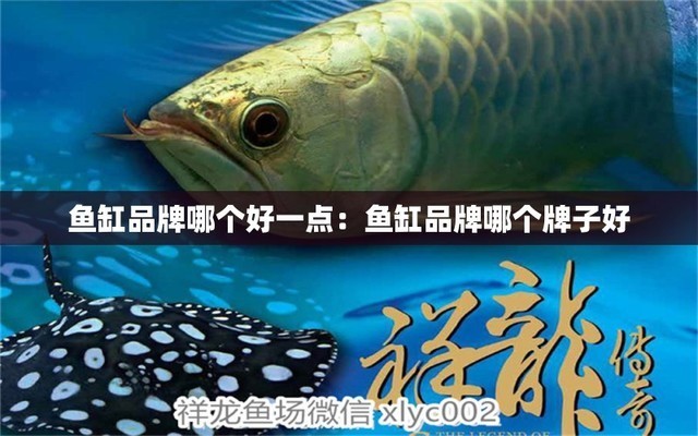 雙鴨山市尖山區名洋生態水族館（雙鴨山市尖山區名洋生態水族館在哪）
