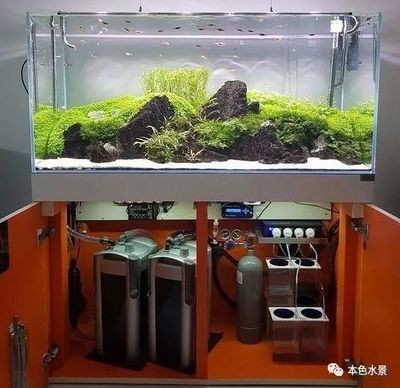 觀賞魚(yú)缸加盟的注意事項(xiàng)：觀賞魚(yú)缸加盟是一個(gè)相對(duì)復(fù)雜的過(guò)程涉及到多個(gè)步驟和條件 觀賞魚(yú)缸加盟的注意事項(xiàng)：觀賞魚(yú)缸加盟是一個(gè)相對(duì)復(fù)雜的過(guò)程涉及到多個(gè)步驟和條件 魚(yú)缸百科 第1張