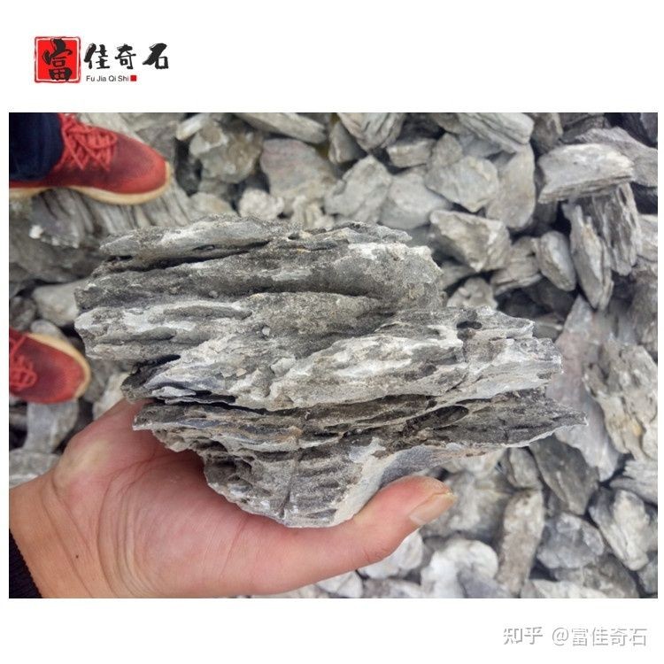 詳細(xì)閱讀:魚(yú)缸造景的藝術(shù)與技巧:風(fēng)化石魚(yú)缸造景的藝術(shù)與技巧 魚(yú)缸造景的藝術(shù)與技巧:風(fēng)化石魚(yú)缸造景的藝術(shù)與技巧