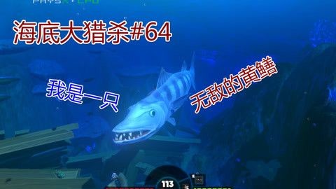 夢(mèng)魚缸視頻：夢(mèng)魚缸視頻更新頻率夢(mèng)魚缸視頻主題內(nèi)容評(píng)價(jià)