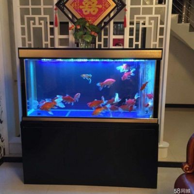 魚缸設備維護周期指南：魚缸水質檢測方法，魚缸清潔工具選擇指南