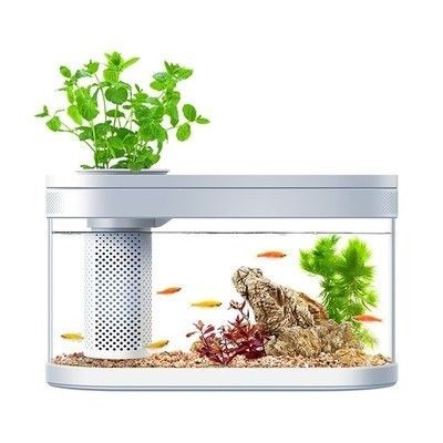 小米魚缸多少錢：小米魚缸價格一般多少錢？