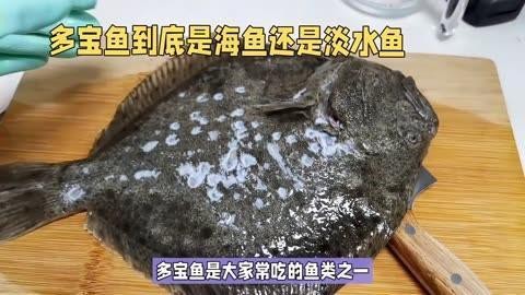 多寶魚是海魚嗎 多寶魚是海魚嗎 龍魚論壇 第10張