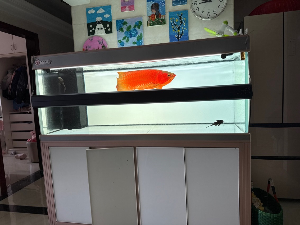 魚到家7年留念