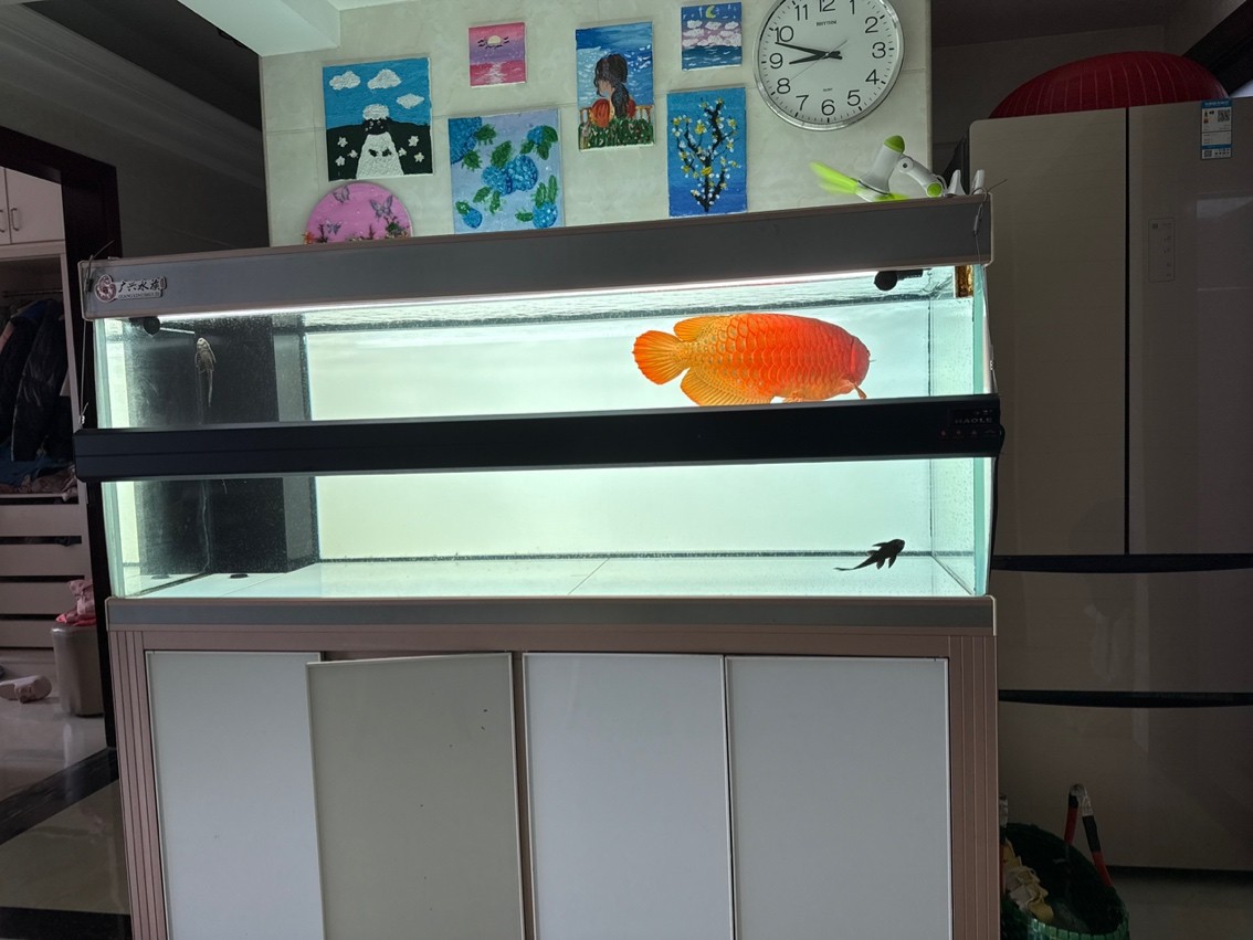 魚到家7年留念