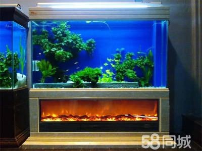 海缸與純魚缸造景的基本要素和技巧