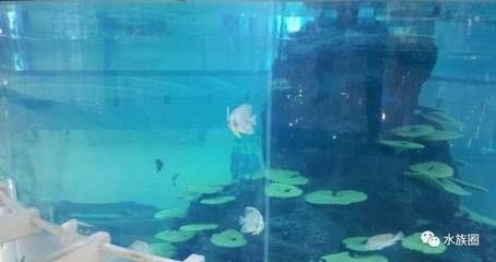 鴻通城大魚缸怎么樣（貴陽鴻通城購物中心）