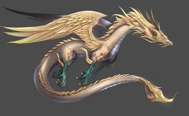 道之雙龍圖片 道之雙龍圖片 龍魚論壇 第26張
