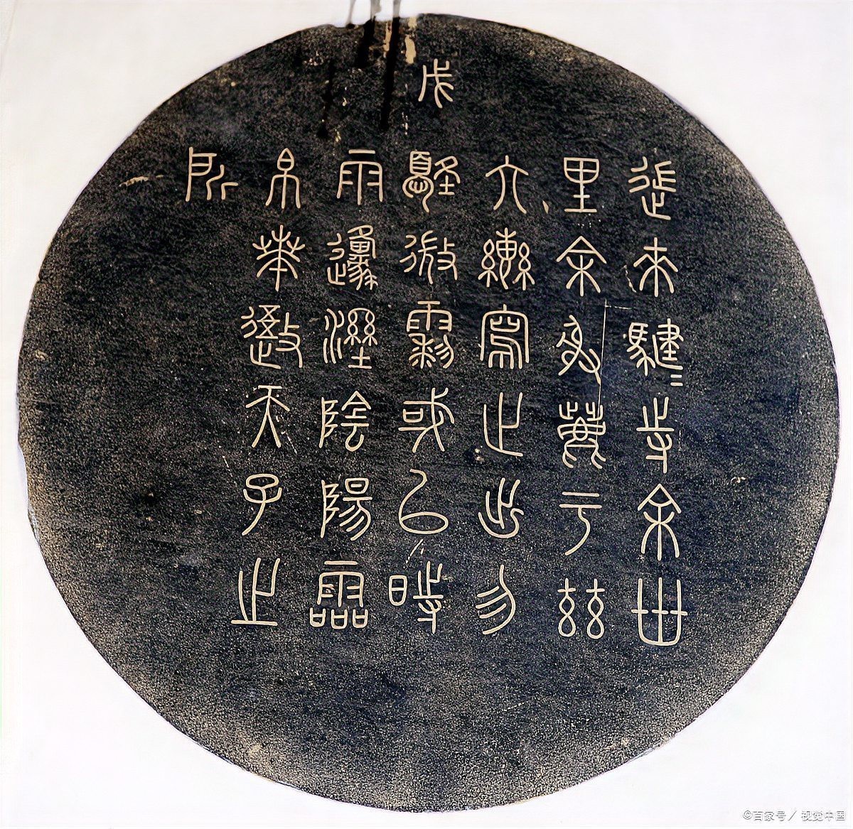 道之雙龍圖片 道之雙龍圖片 龍魚論壇 第28張