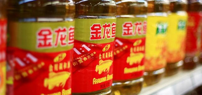 贛縣何杰金魚店（贛縣何杰金魚店地址）