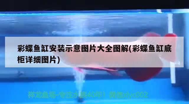 塔城市志豪水族館 全國水族館企業名錄 第2張 塔城市志豪水族館 塔城市志豪水族館 全國水族館企業名錄 第2張