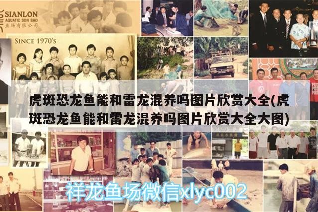 瀘州市江陽區森林造景經營部