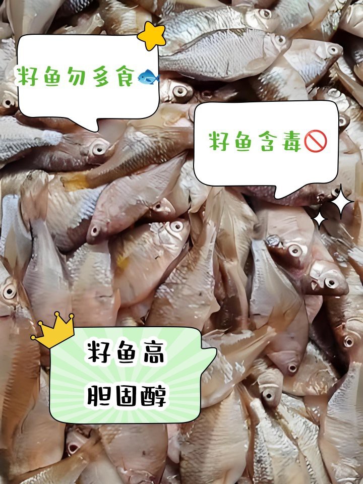 石狗仔魚為何要少吃