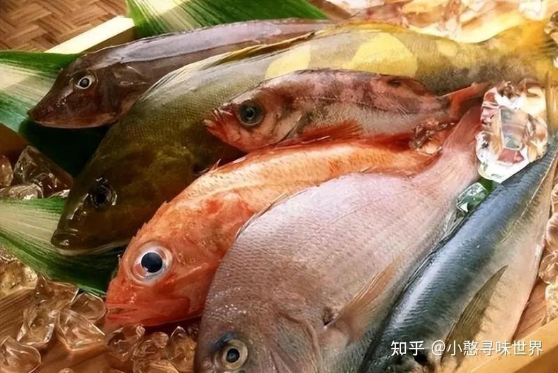 石狗仔魚為何要少吃