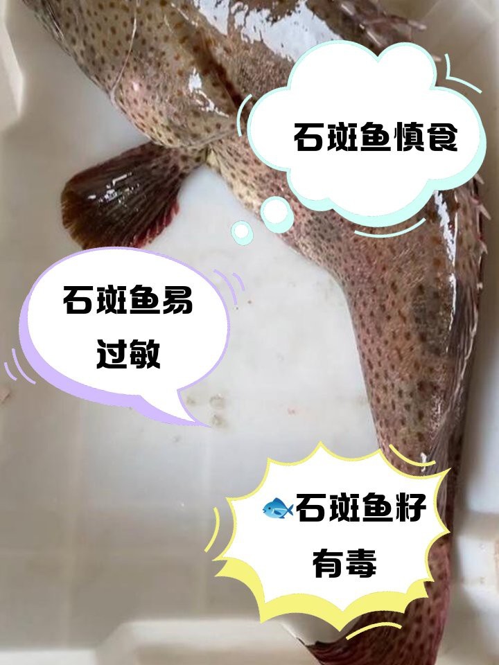 石狗仔魚為何要少吃