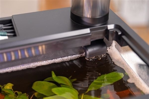 當貝智能魚缸值得買嗎：當貝智能魚缸1ultra值得購買的優質產品