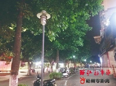 龍魚要開夜燈嗎：關于龍魚是否需要開夜燈的問題，龍魚夜間不安的解決方法