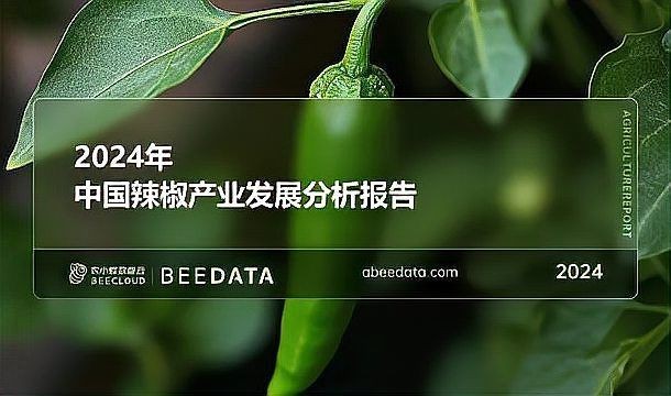 河南最大的辣椒種子公司 龍魚論壇 第6張 河南最大的辣椒種子公司 河南最大的辣椒種子公司 龍魚論壇 第6張
