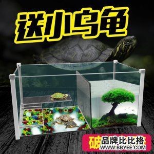 品牌魚(yú)缸排名（2024品牌魚(yú)缸排名）