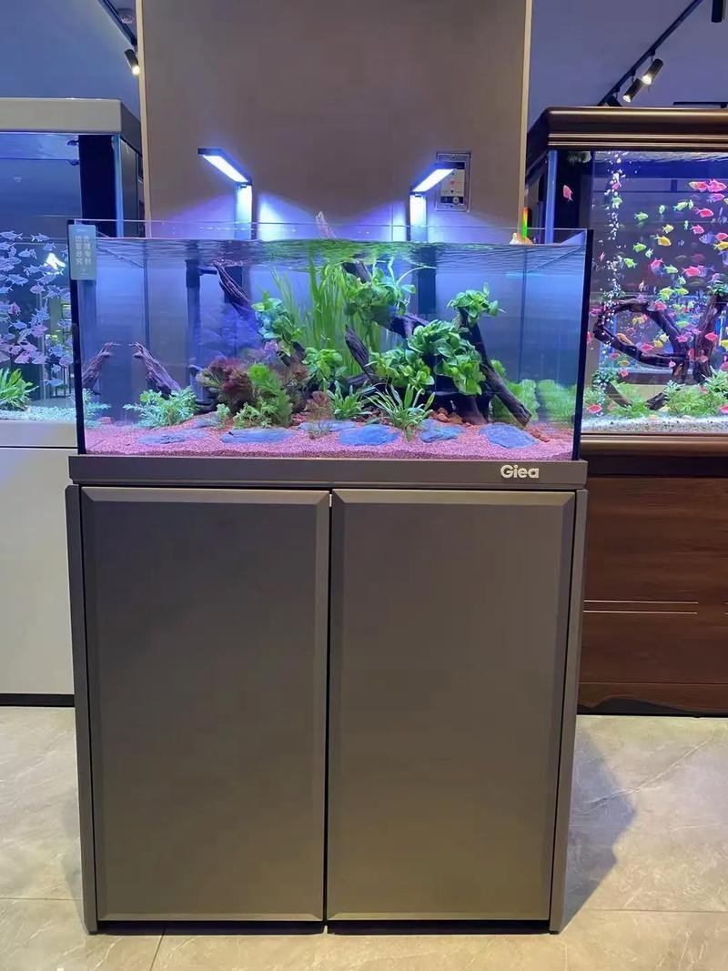 魚缸裝飾效果圖大全