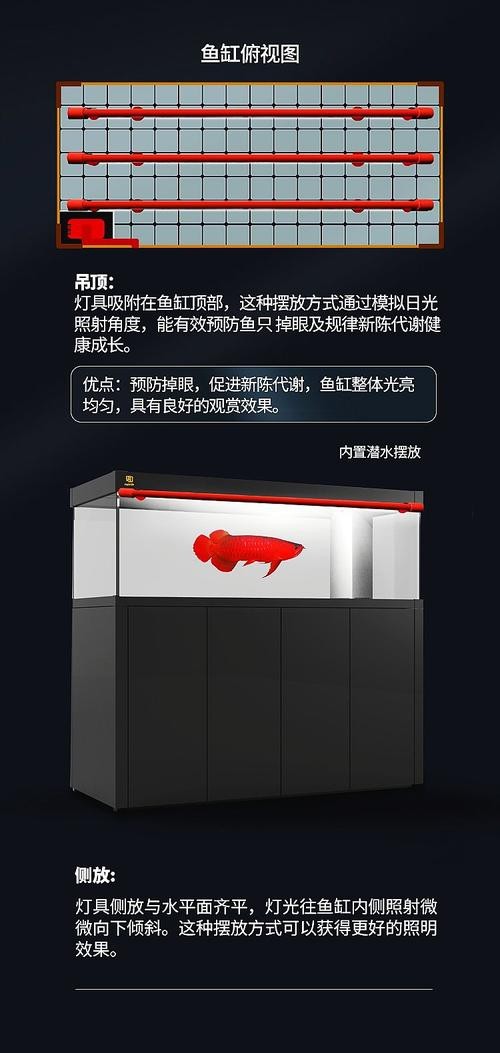 龍魚缸潛水燈正確擺放圖