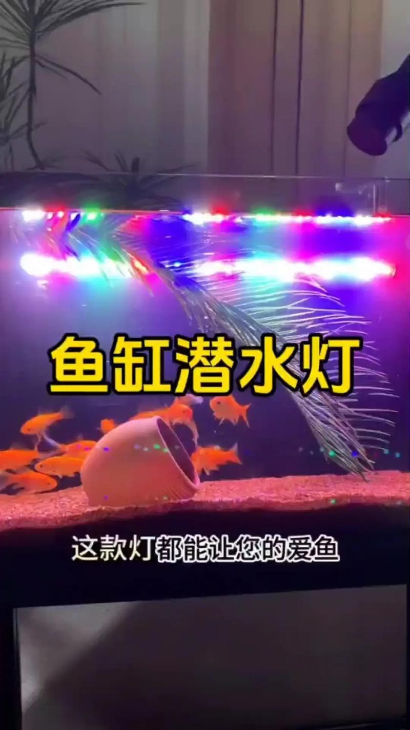 龍魚缸潛水燈正確擺放圖
