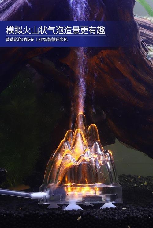 龍魚缸潛水燈正確擺放圖