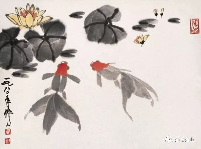 國畫金魚作品欣賞