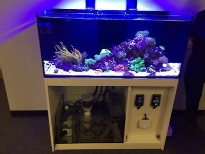 高級水族箱魚缸安裝視頻