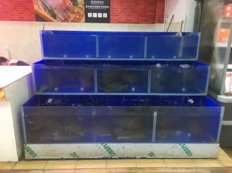 高級水族箱魚缸安裝視頻