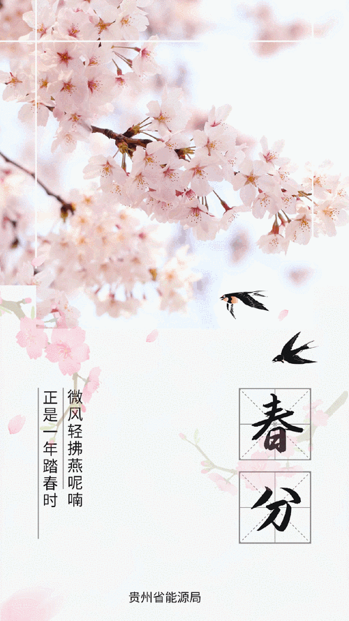 有沒有高清龍壁紙手機(jī)版？