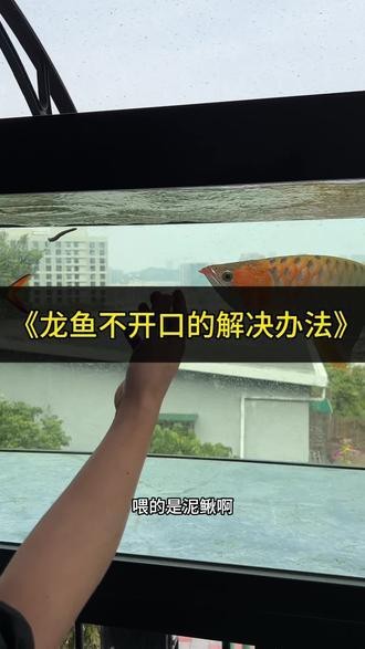 大同市平城區森森園林綠化中心（大同平城區園林處招標）