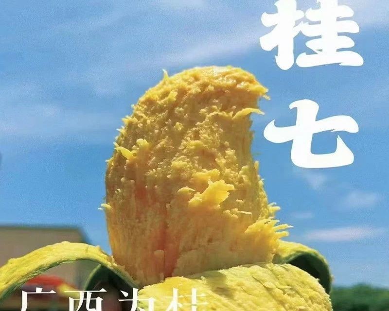 水上項目經營許可證