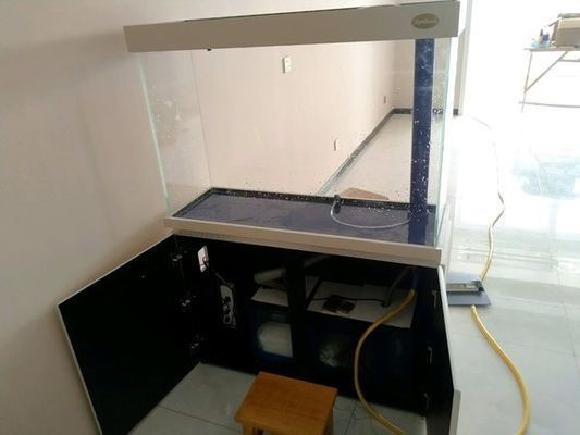魚缸生態系統的構建與維護：底濾魚缸如何放底砂