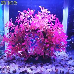 拱門(mén)魚(yú)缸造景造景效果圖：拱門(mén)魚(yú)缸造景拱門(mén)魚(yú)缸造景拱門(mén)魚(yú)缸造景效果圖