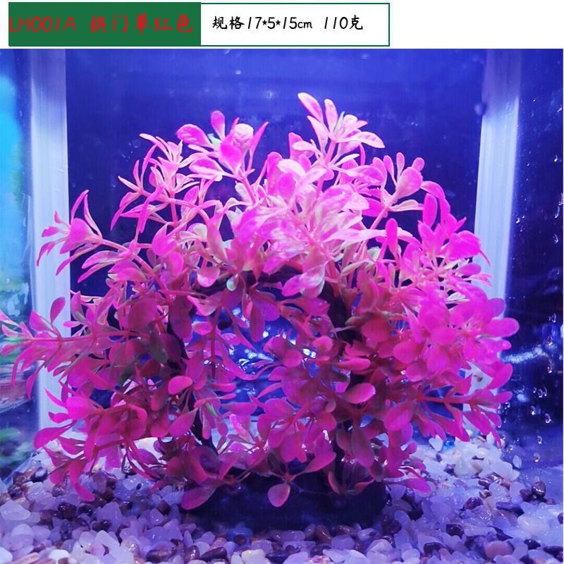 拱門(mén)魚(yú)缸造景造景效果圖：拱門(mén)魚(yú)缸造景拱門(mén)魚(yú)缸造景拱門(mén)魚(yú)缸造景效果圖