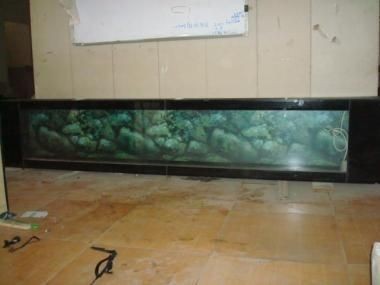 湖北魚缸生產廠家排名前十，湖北魚缸廠家排名前十：湖北魚缸廠家排名前十名
